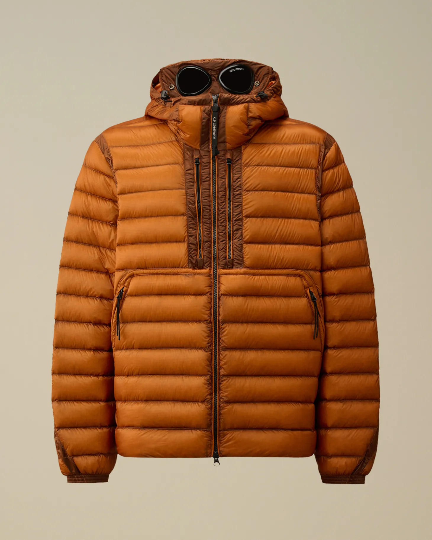 D.D. Shell Goggle Down Jacket<C.P. Company Best